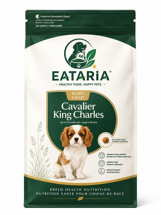 Cavalier King Charles Puppy Dry Dog Food