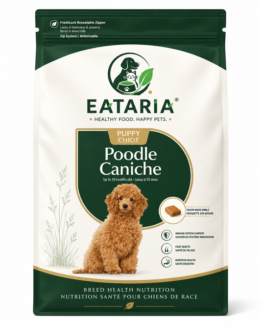 Poodle Puppy Dry Dog Food