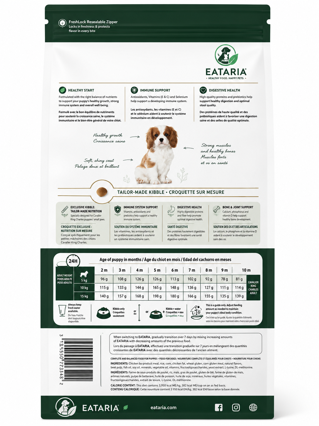 Cavalier King Charles Puppy Dry Dog Food