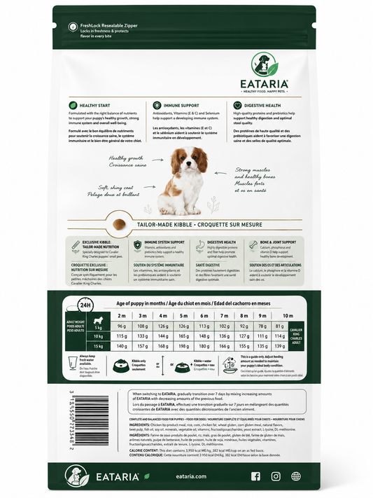 Cavalier King Charles Puppy Dry Dog Food