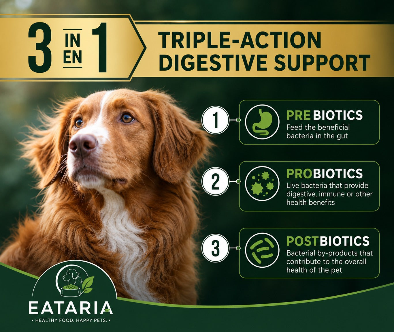 Eataria Adult Digestive Support+ Dry Dog Food – Salmon & Oat Meal Formula