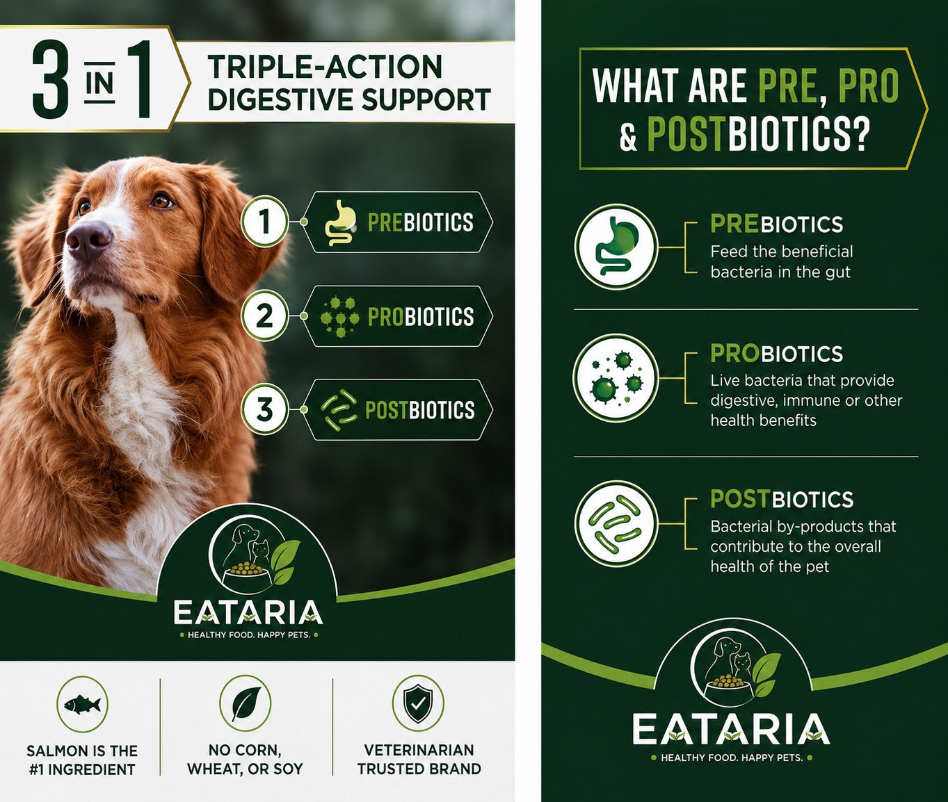 Eataria Adult Digestive Support+ Dry Dog Food – Salmon & Oat Meal Formula