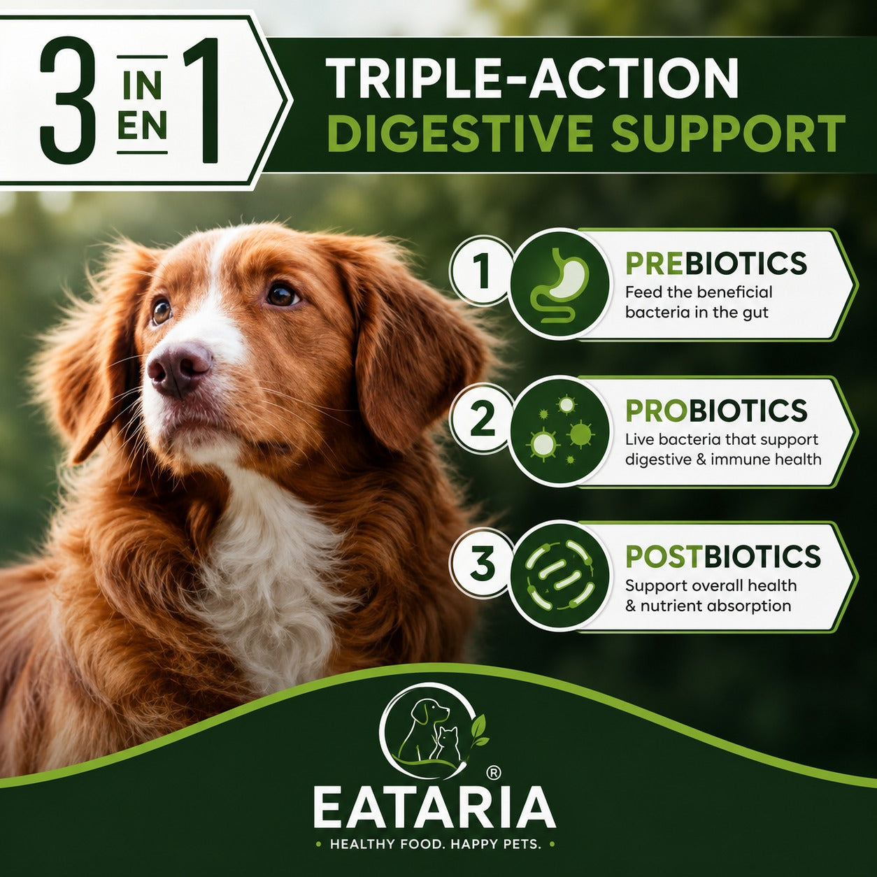 Eataria Small Breed Adult Digestive Support+ Dry Dog Food Salmon & Oat Meal Formula