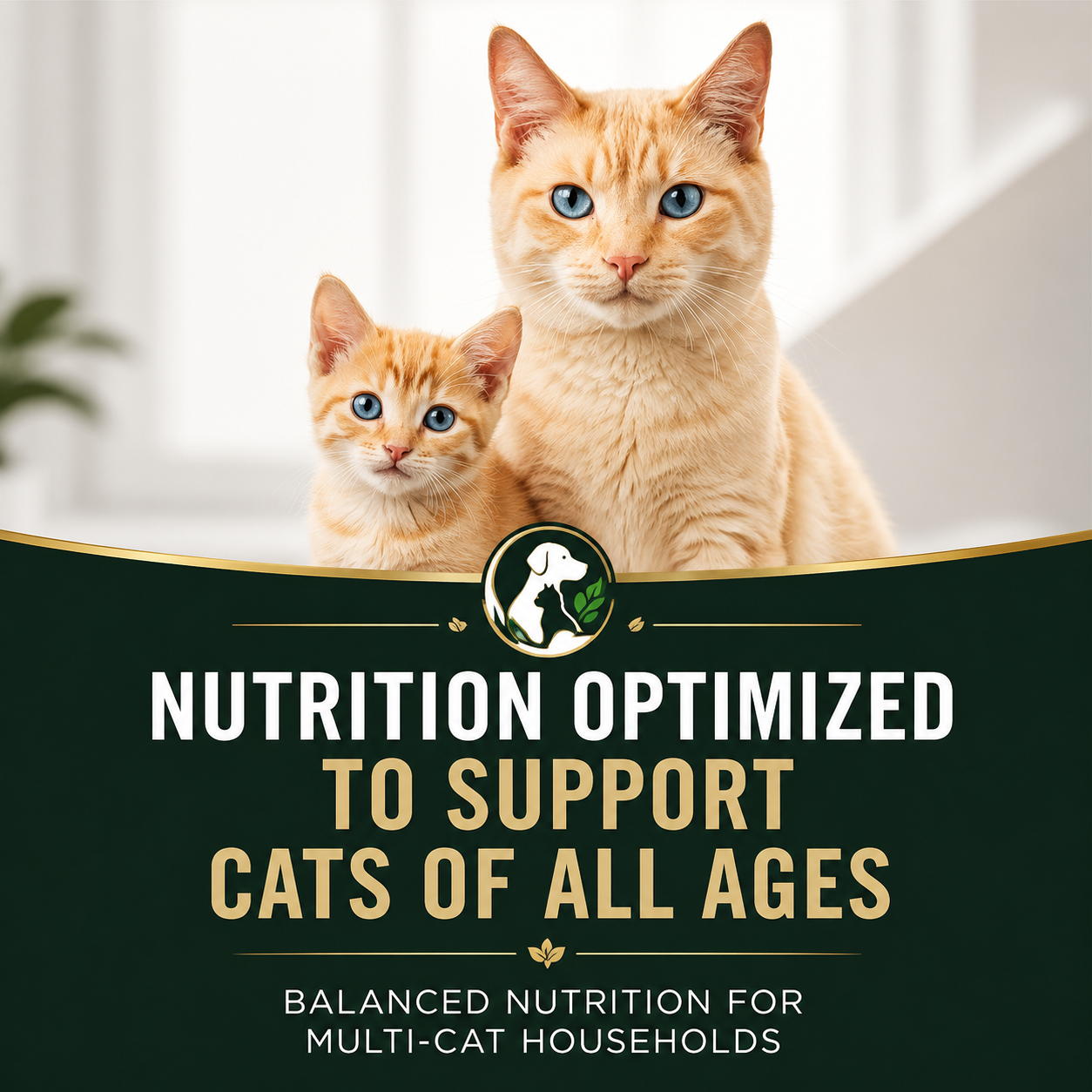 Eataria Classic Chicken Entrée Wet Cat Food All Life Stages