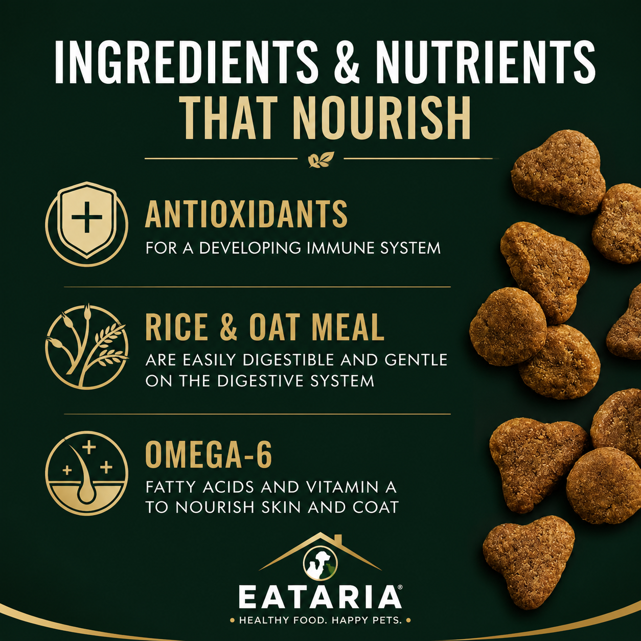 Eataria Kitten Sensitive Skin & Stomach Dry Cat Food Salmon & Rice Formula