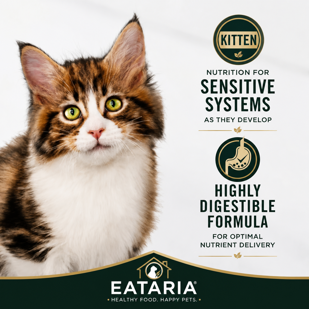 Eataria Kitten Sensitive Skin & Stomach Dry Cat Food Salmon & Rice Formula