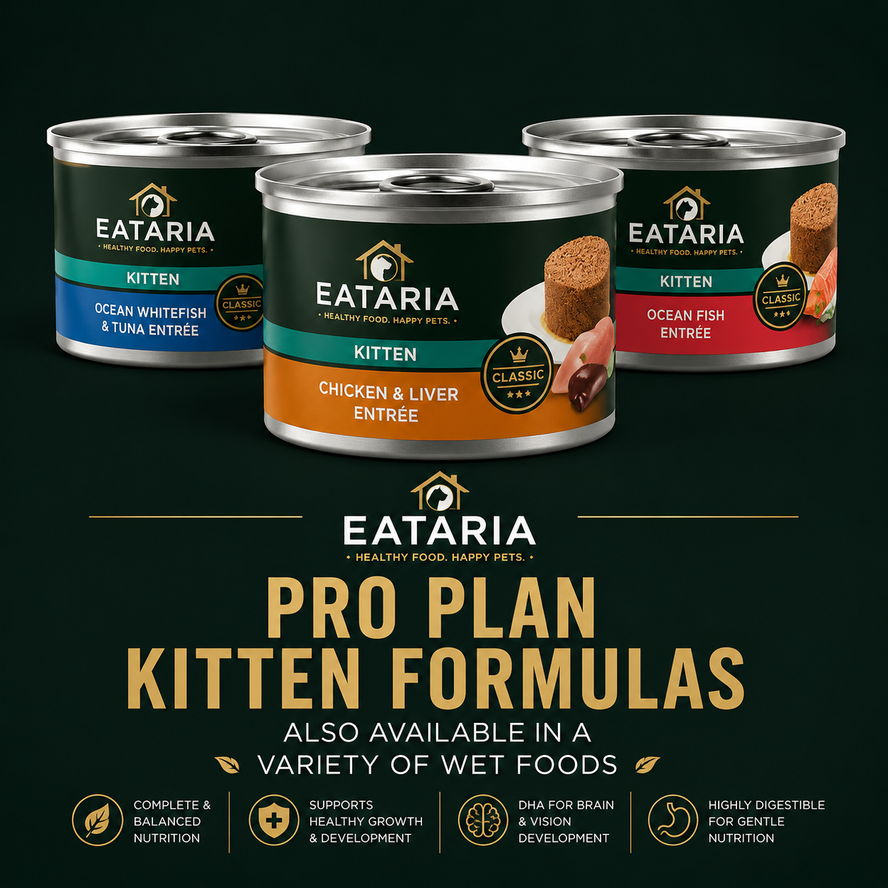 Eataria Kitten Complete Essentials Dry Cat Food Chicken & Rice Formula