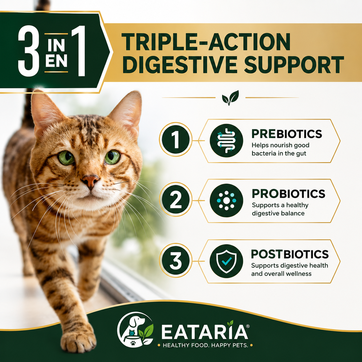 Eataria Adult Digestive Support+ Dry Cat Food – Salmon & Rice Formula